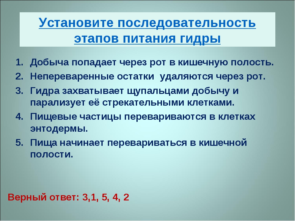 Тор для кракена